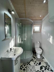 a bathroom with a shower and a sink and a toilet at Domki Baltyk in Dąbki