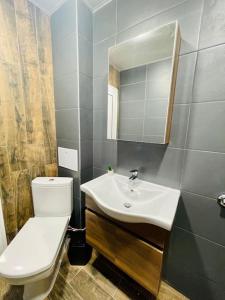 bagno con servizi igienici, lavandino e specchio di Luxury Apart a Stara Zagora