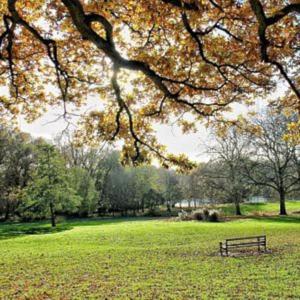 a park bench sitting in the middle of a field at Lovely one bedroom flat next to our family home in Dallington