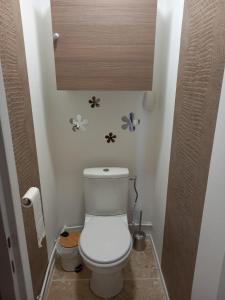 uma pequena casa de banho com WC e um armário de madeira em Le Cocoon de Py - Superbe T2 au calme avec garage em Bagnères-de-Bigorre