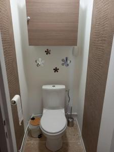 uma casa de banho com WC num pequeno quarto em Le Cocoon de Py - Superbe T2 au calme avec garage em Bagnères-de-Bigorre