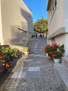 Foto dalla galleria di Dialinas Apartments a Istron