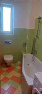 a bathroom with a toilet and a bath tub at Nika in Rijeka