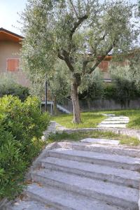 Zahrada ubytování Hotel Al Sole Bardolino