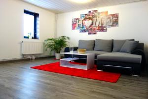 ein Wohnzimmer mit einem Sofa und einem roten Teppich in der Unterkunft HAPPY-HOMES RED - Up to 5 - Küche - W-LAN - Netflix - Honig - Terrasse in Altenstadt