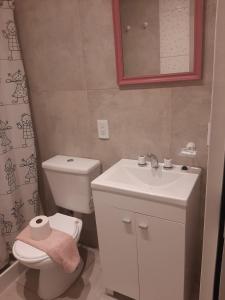 Łazienka z białą toaletą i umywalką w obiekcie Alquiler por día Bahía Blanca w mieście Bahía Blanca