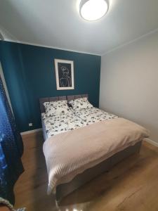 1 dormitorio con 1 cama con pared azul en Apartament Cieplice4U, en Jelenia Góra