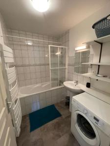 a bathroom with a washing machine and a sink at Bel appartement Magnifique vue Lac -Les Gouttridos in Gérardmer