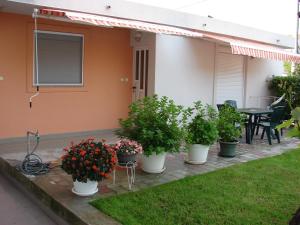 Zahrada ubytování Guest House Barba