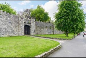 a large stone wall with a grassy field next to a tree at Guest Apartment in Dublin