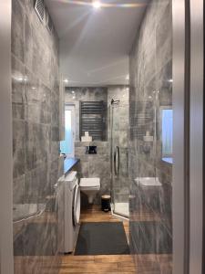 Un baño con ducha, inodoro y lavabo. en Apartament Wzgórze Gedymina, en Wałbrzych 21 fotos más
