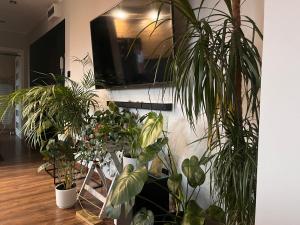 une chambre avec une bande de plantes en pot sur un mur dans l'établissement Apartament Zielony Raj, à Wałbrzych