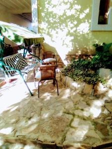Κήπος έξω από το Timočko gnezdo