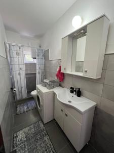 a bathroom with a sink and a washing machine at Apartments Andrović in Ulcinj