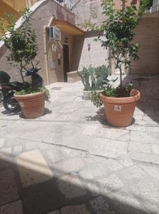 three potted trees in pots on a sidewalk at Il sottano borgo antico in Bari