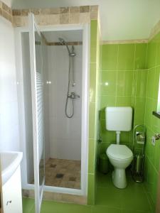 een groene badkamer met een douche en een toilet bij Casa Wave Sound in Agigea