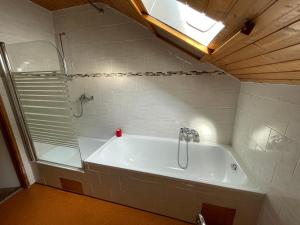 een badkamer met een douche en een bad bij Haus Silverfern in Förolach