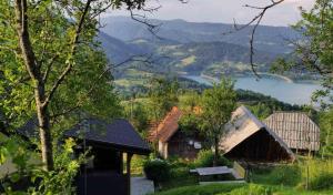a group of buildings with a view of a lake at Tarska kuća za odmor in Bajina Bašta