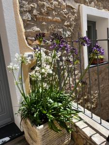 a planter with purple and white flowers in front of a building at Agriturismo Le Merline in Arnasco