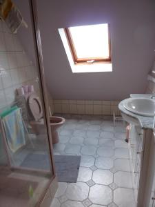 y baño con ducha, aseo y lavamanos. en LA FERME DES PERLES NOIRES en Ribeauvillé