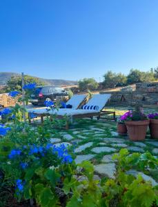 um pequeno avião estacionado num jardim com flores azuis em Gorgeous private Villa with sea view! em Andros