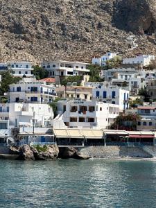a group of white buildings on a hill next to the water at Hotel Alkyon in Hora Sfakion