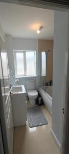 a bathroom with a toilet and a sink and a tub at Adaline House Dublin in Dublin