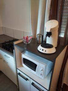 um balcão de cozinha com um liquidificador e um micro-ondas em Appartement meublé avec deux chambres em Moulins