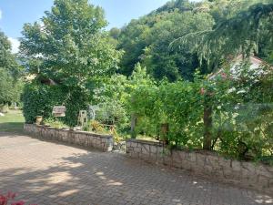 un jardín con una pared de piedra y algunas plantas en Ferienwohnung am Bächle, en Münstertal