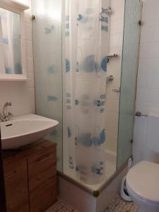 La salle de bains est pourvue d'une douche, d'un lavabo et de toilettes. dans l'établissement Ferienwohnung am Bächle, à Münstertal
