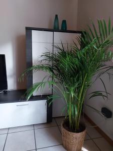 TV/trung tâm giải trí tại Ferienwohnung am Bächle