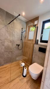 a bathroom with a toilet and a glass shower at Szklane Domki Ińsko in Ińsko