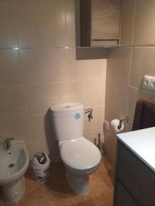 a small bathroom with a toilet and a sink at Cal Cucu in Gerp +24 photos