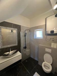a bathroom with a toilet and a sink and a shower at Villa Nevia 1 in Drašnice