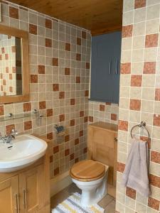 a bathroom with a toilet and a sink at Main Street 2 bedroom town house in Llandeilo