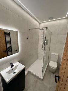 W łazience znajduje się prysznic, toaleta i umywalka. w obiekcie Glasgow West End Tenement Apartment w Glasgow