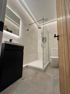 uma casa de banho com uma cabina de duche em vidro e um WC. em Glasgow West End Tenement Apartment em Glasgow