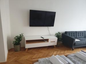 TV a/nebo společenská místnost v ubytování Newly refurbished central