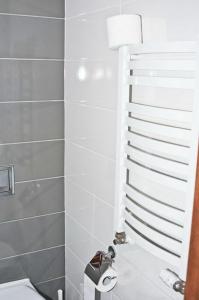 Łazienka z toaletą i białą drabiną w obiekcie Pokoje Gościnne Ruciane-Nida w mieście Ruciane-Nida