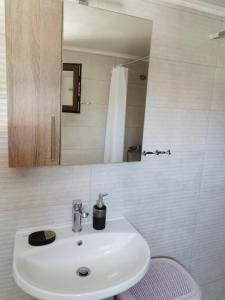 a bathroom with a sink and a mirror at Elisavet Room Portiano in Pedhinón