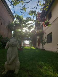 Foto dalla galleria di Casa Bucium a Bucium