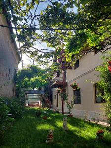 a backyard of a house with a green yard at Casa Bucium in Bucium +9 photos