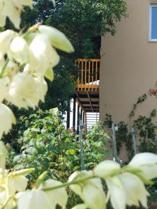 a bunch of white roses in front of a building at Beim Bergjosl in Kirchbach in Steiermark