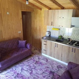 a living room with a purple couch and a kitchen at Fidelya Bungalow Evleri in Adrasan