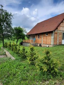 Zahrada ubytování Lazareva kuća