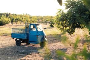 un vieux camion bleu garé dans un champ dans l'établissement Casa in campagna ⋅ ForiMìa, à San Vito dei Normanni