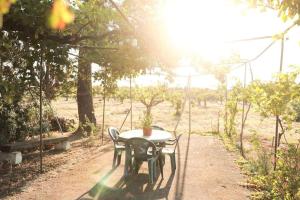 un tavolo e sedie in un campo soleggiato di Casa in campagna ⋅ ForiMìa a San Vito dei Normanni