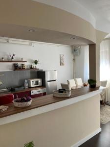 a kitchen with a counter top with a microwave at Apartment T&M Zagreb Airport in Velika Gorica