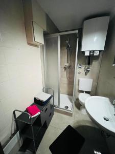 a bathroom with a shower and a sink and a toilet at City Appartement Kirchheim in Kirchheim unter Teck