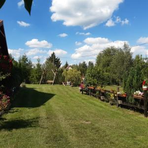 a garden with flowers on a green field at Domek w Kwiatach in Mrągowo